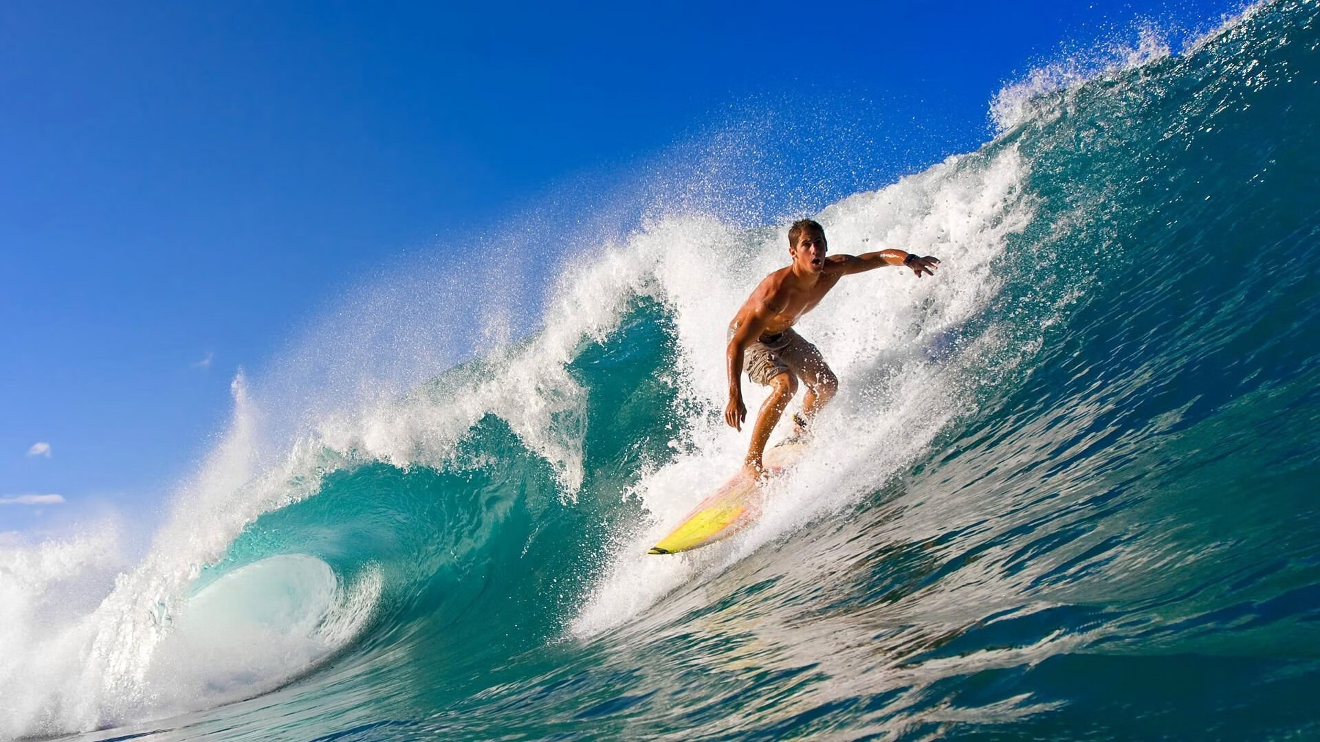 范戴克关键战不手软,拜仁节奏掌控丹麦,战术纪律与足球智慧的胜利